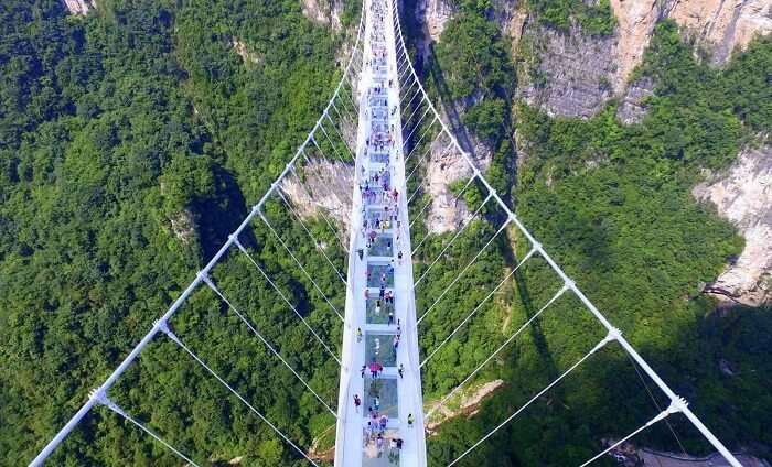 World’s Largest Glass Skywalk In China cover