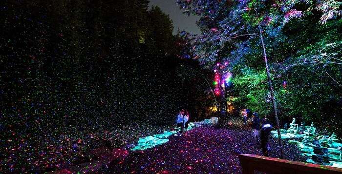 People enjoying nighttime walk in Whister