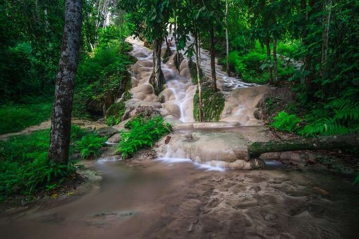 Climb the bua tong waterfalls in thailand