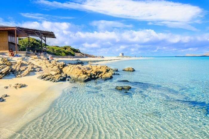 Beautiful Mediterranean Sea With Clear Turquoise Water And Pine