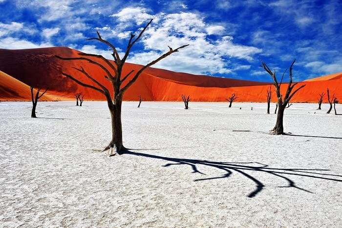 The Namib Desert Africa