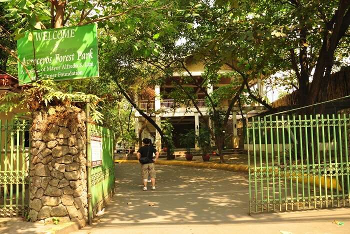 Arroceros Forest Park
