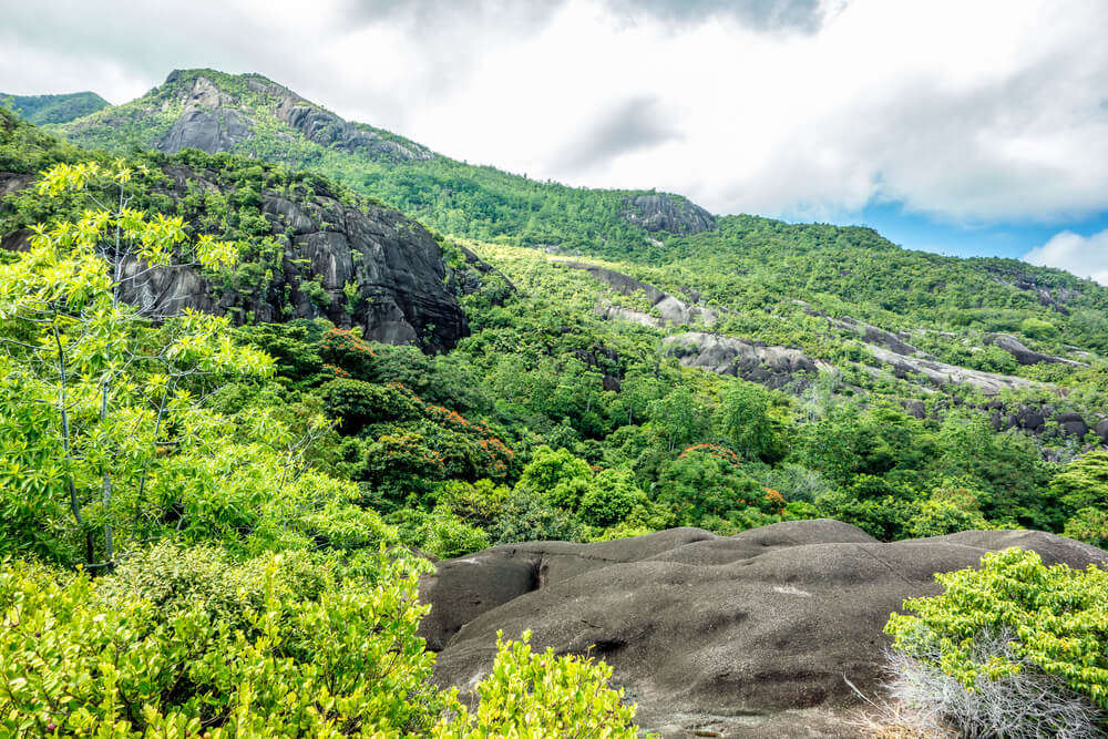 Copllia Trail in Morne Seychellois National Park