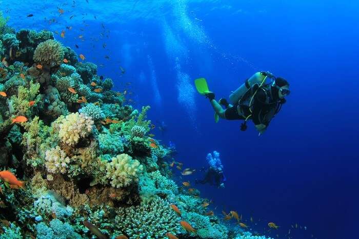 Man scuba diving underwater