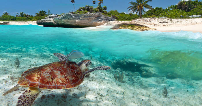 A marine national park in Seychelles