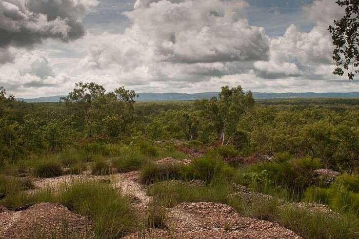 kakadu national park a guide to enjoy the best of nature