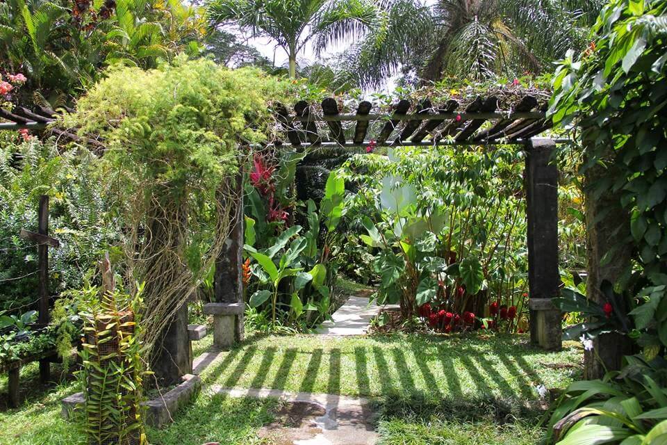 La Misere Exotics Garden Centre