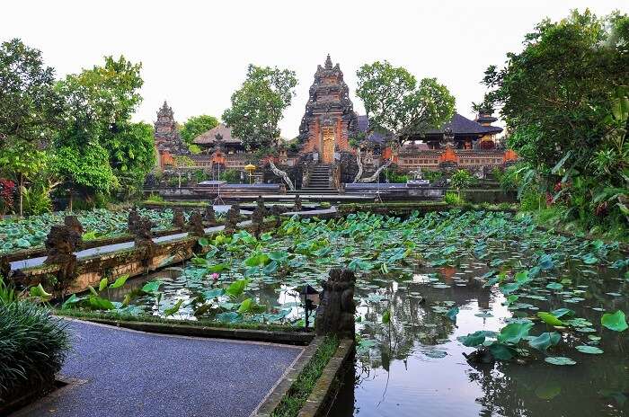 17 Amazing Places To Visit In Ubud For All Travelers In 2020