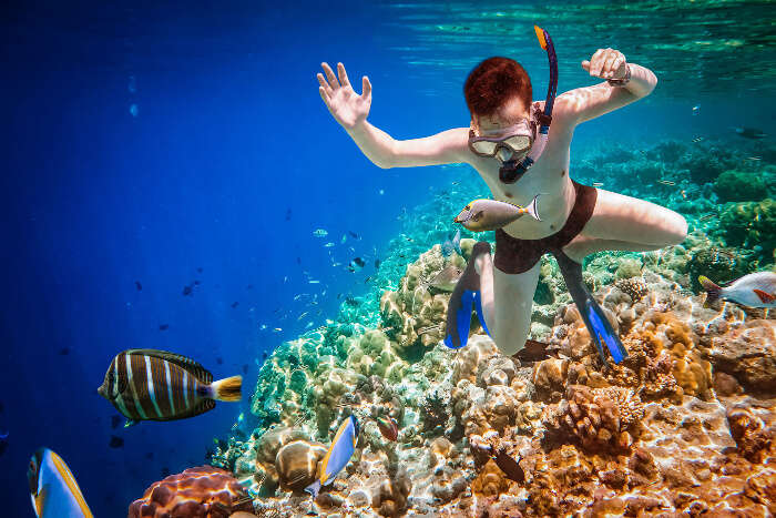 A man snorkeling in the sea in Maldives