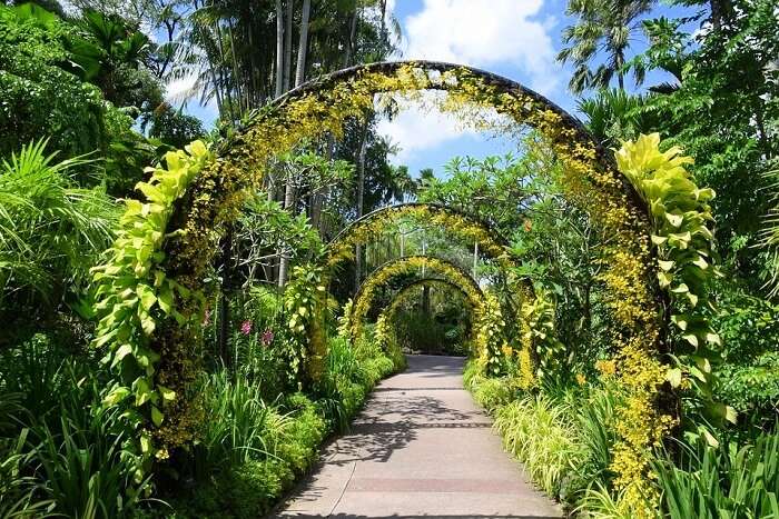 The Gardens house a whole rainforest as well