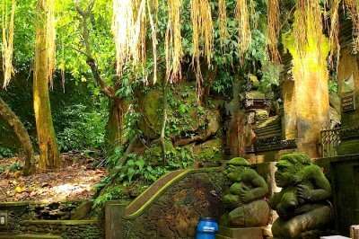 Ubud-Monkey-Forest