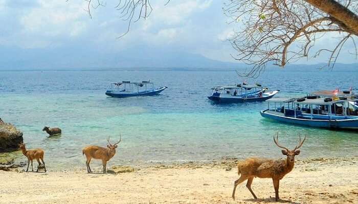 West Bali National Park