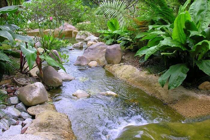 You can laze around the Saraca Stream