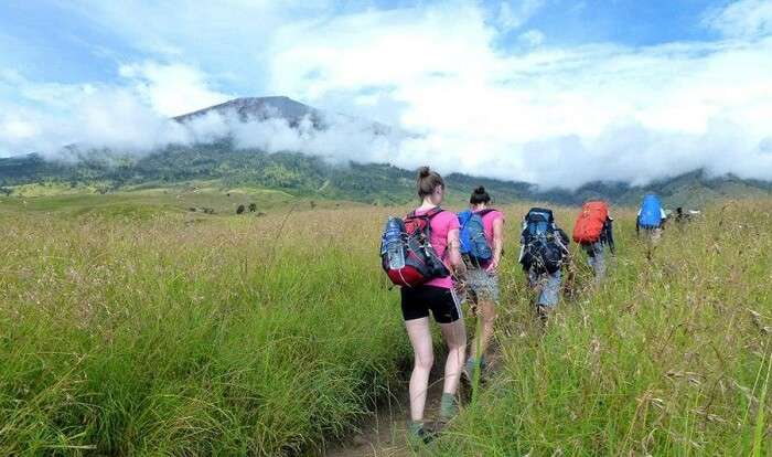 down near the volcano
