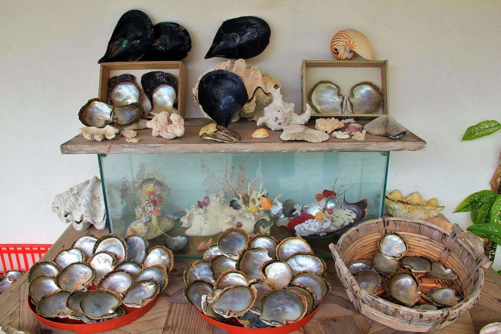 Seychelles souvenirs