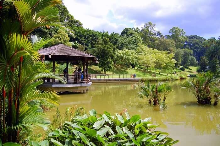 singapore botanic gardens logo