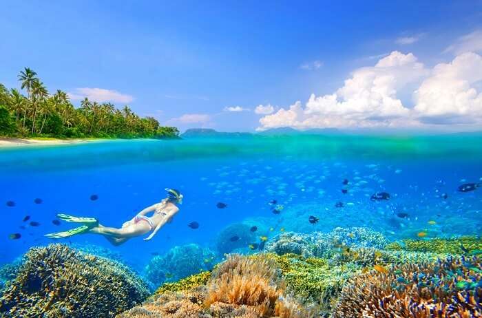 Sulawesi Island: 10 Best Things To Do On Your Next Trip