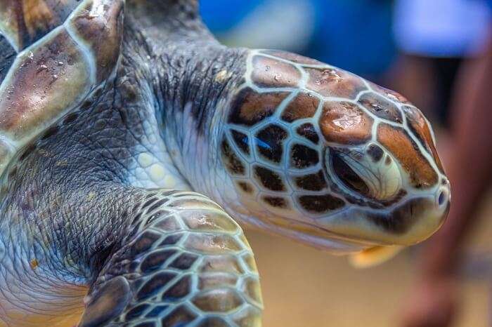 offers environmental educational experience