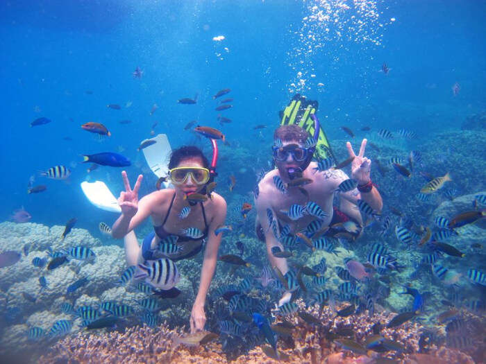 The Beautiful Underwater World