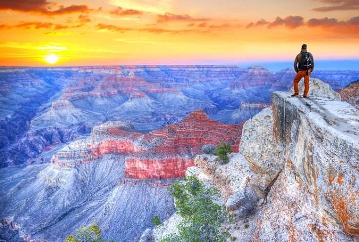 Man looking at grand canyon views