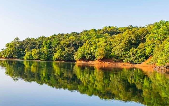 Charlotte Lake in Matheran offers perfect tranquility for couples