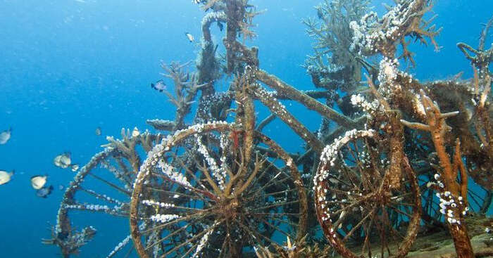 underwater bali