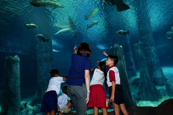 River Safari Singapore