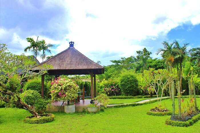 Jardin d'orchidées de Bali
