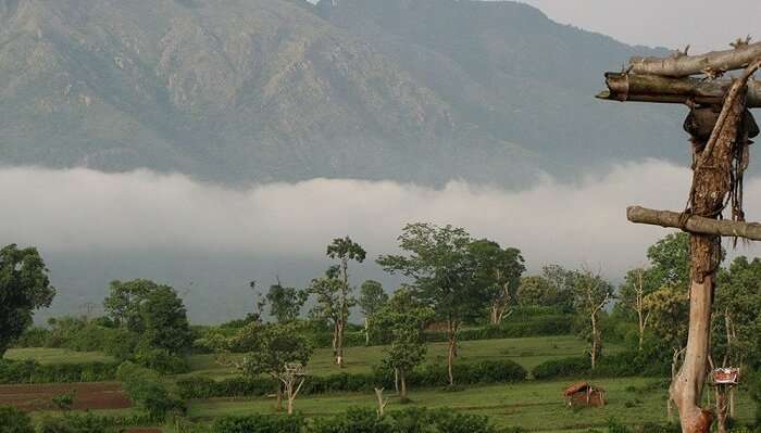 A breathtaking sunset from kemmagundi, one of the amazing places to visit in Chikmagalur