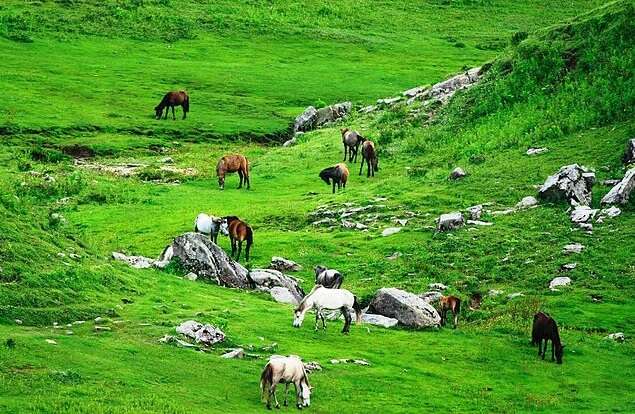 khaptad national park trek