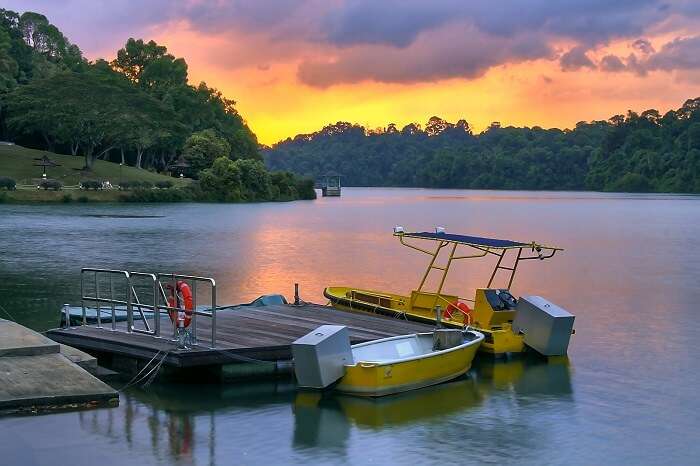 sunsest at Macritchie reservoir