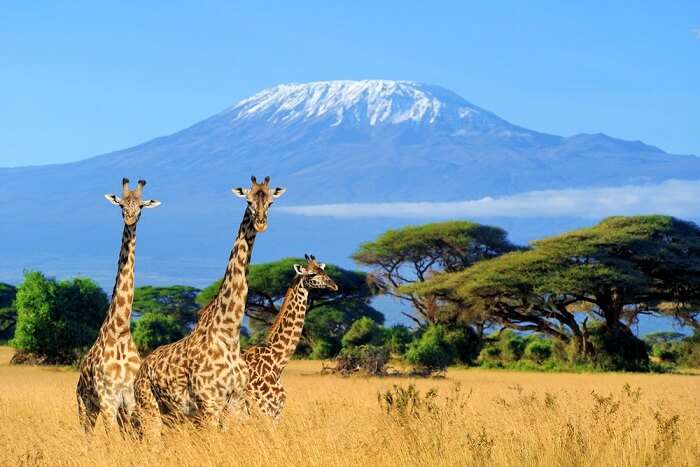 Volcano in Tanzania