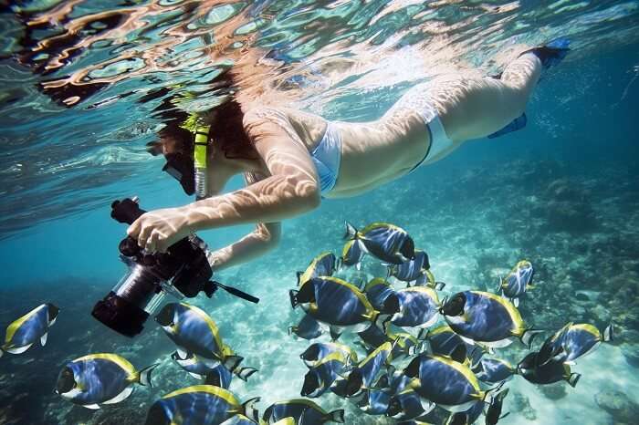 underwater museum pondicherry