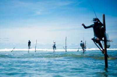 Stick fishermen of Sri Lanka.