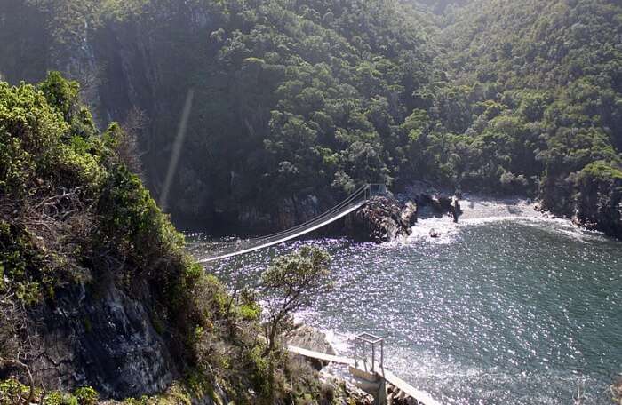 Tsitsikamma National Park