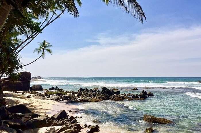 Colombo Beach Party