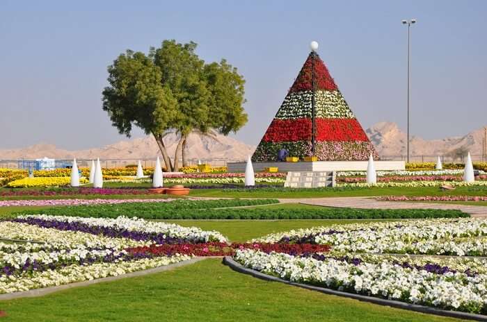 botanical garden in al ain