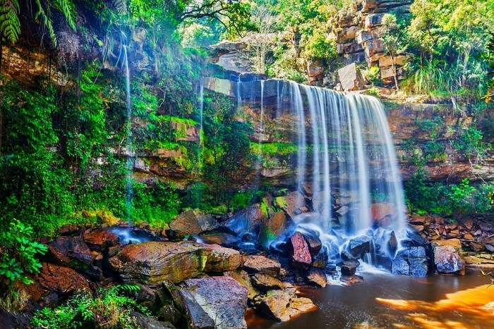 cambodia national parks cover