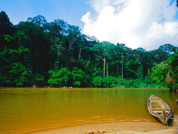 Incredible Similajau National Park