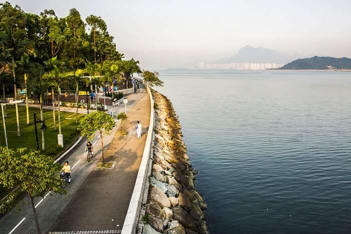must have experiences in tai po