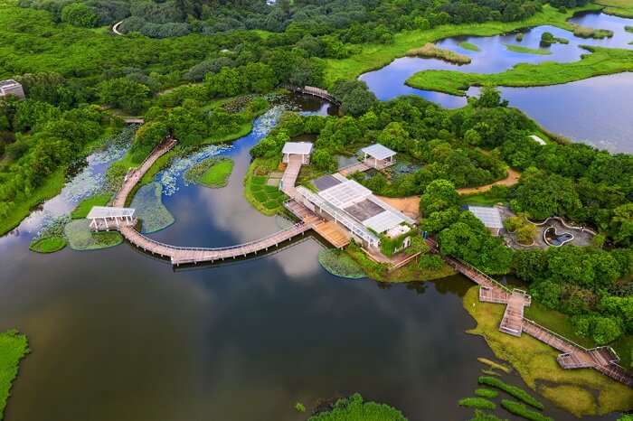  Hong Kong Wetland Park  A Complete Guide For Vacationers