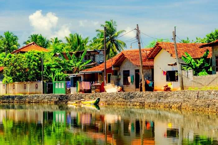 8 Stunning Homestays In Negombo For A Homely Stay - 