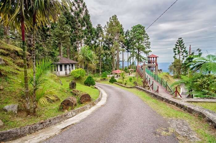 Bukit Larut Main image