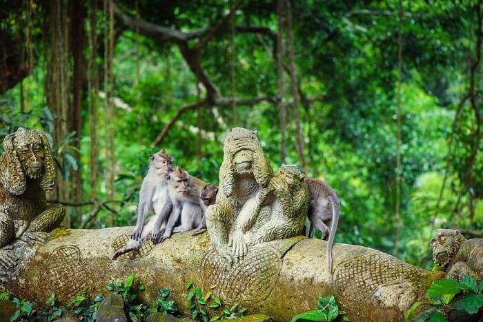 ubud monkey forest