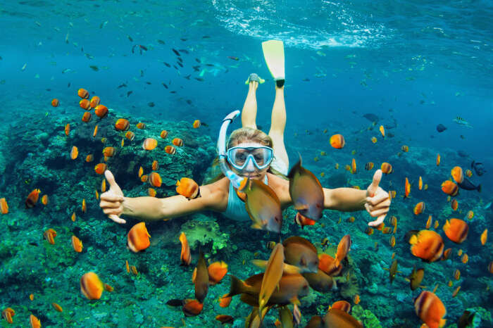 snorkeling tours sydney australia