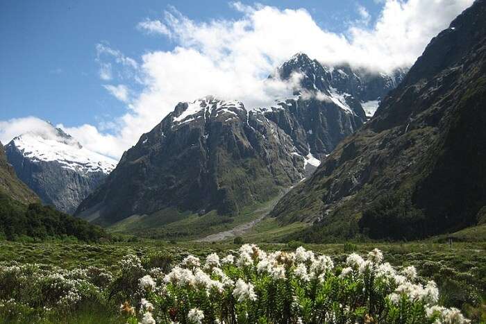 Fiordland National Park