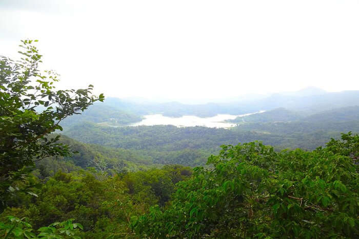 Kalibiru National Park