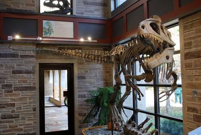 Geology Museum