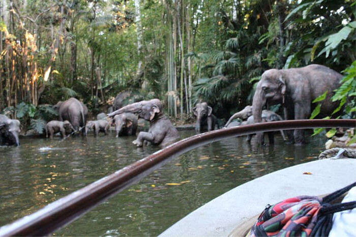 safari world bangkok jungle cruise