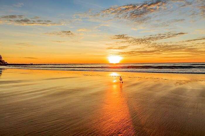 Kelly's_Beach_Sunrise